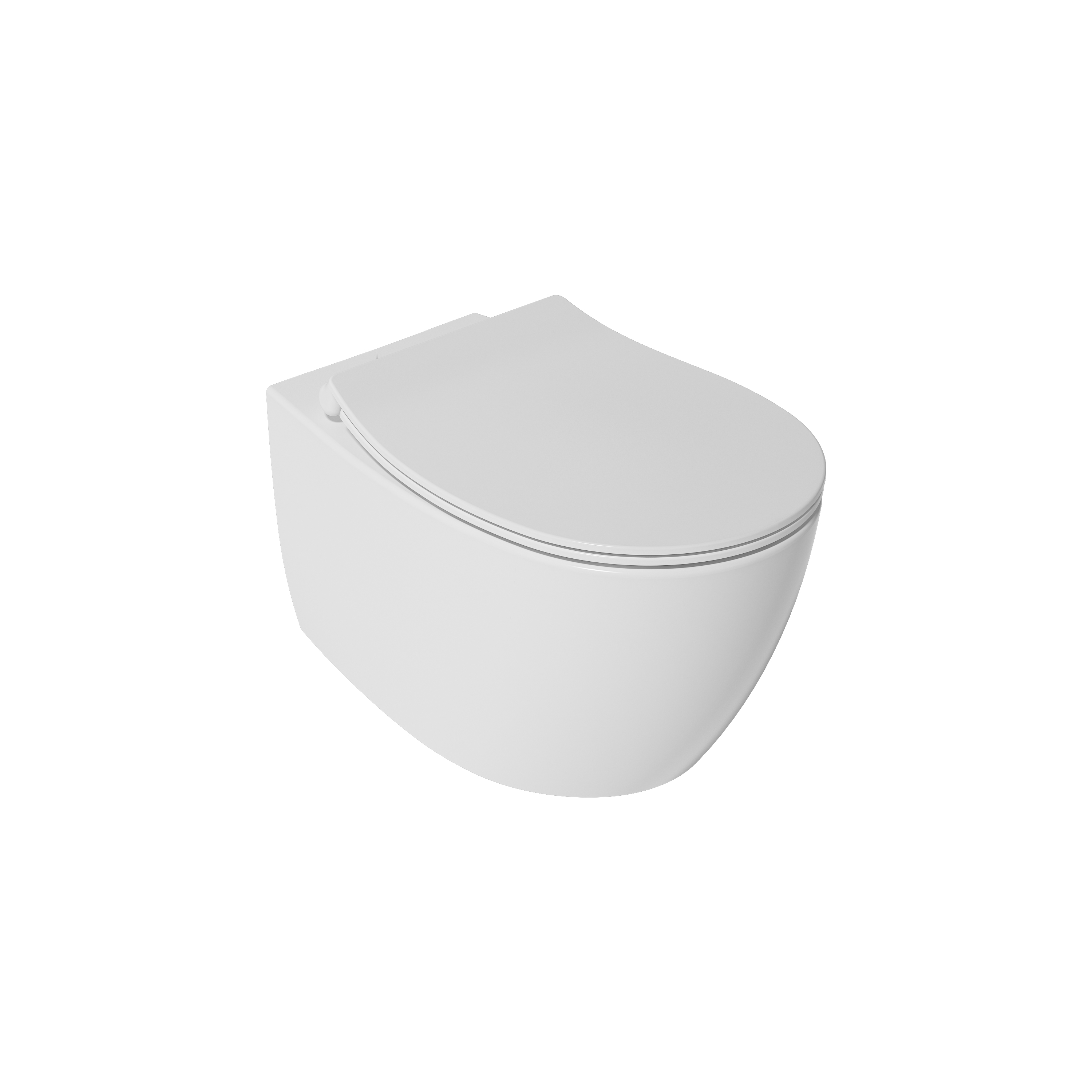 Serenita Rimless Wallhung WC